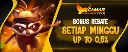 VIP Cashback Slot Harian 0.5% promotion